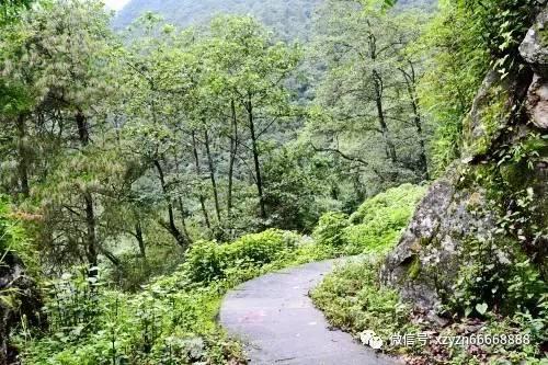 召唤神龙万宁版祖龙