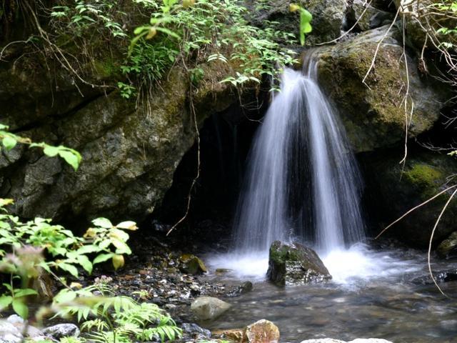 春雨直播app